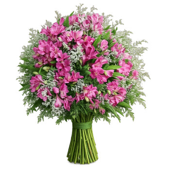 buque Lilas