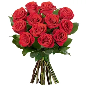 Buque 12 rosas colombianas